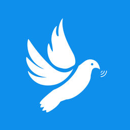 飞鸽下载