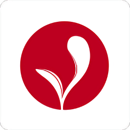 中银十二学