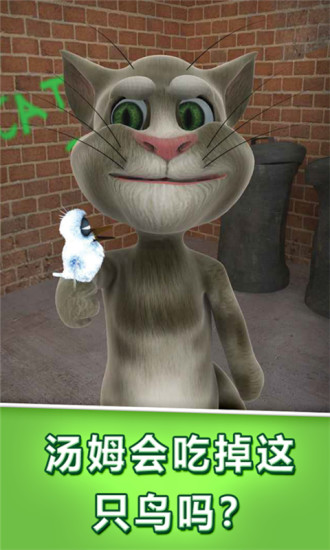 会说话的汤姆猫中文版 会说话的汤姆猫中文版