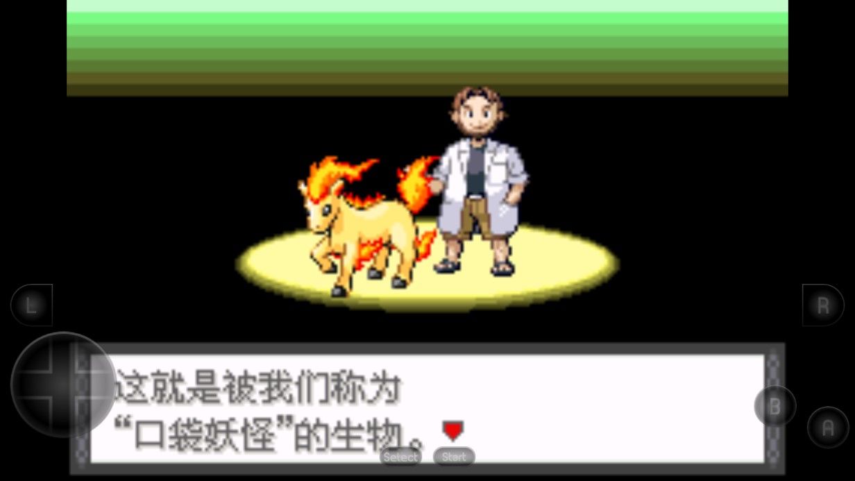 口袋妖怪命运之轮汉化版