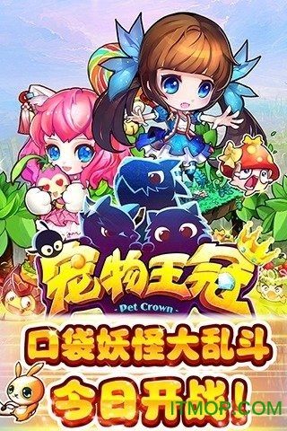 宠物王冠