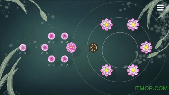 莲漪(Ripple Blossom)