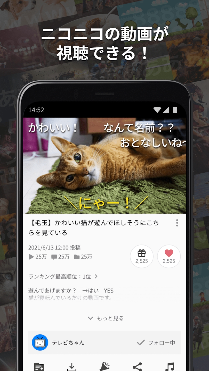 ニコニコ動画