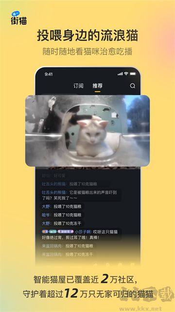 街猫