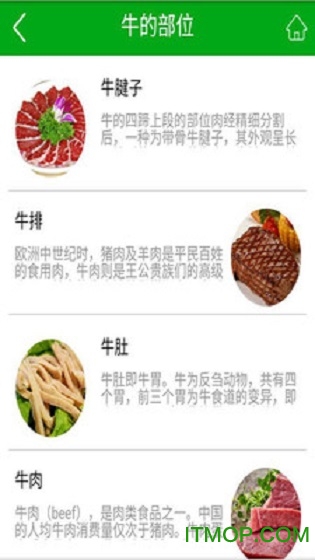 黄牛肉商场 黄牛肉商场