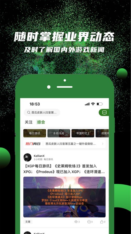 西瓜皮