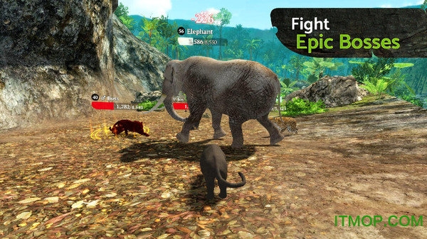 黑豹之王 黑豹之王