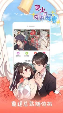 莱因漫画