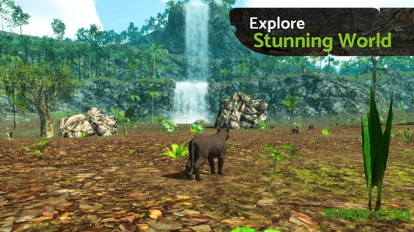 黑豹之王 黑豹之王