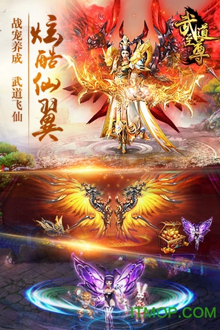 微信游戏武道至尊h5内购破解版