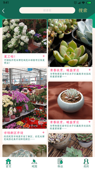 掌上花木