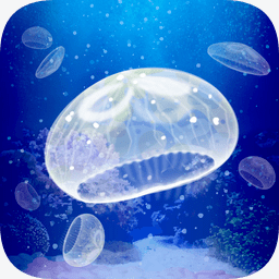海蜇養成