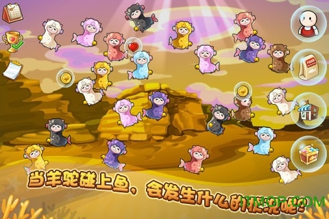 开心水族箱 开心水族箱