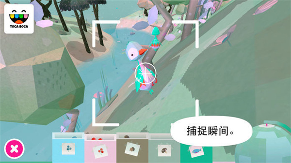 托卡大自然官方正版