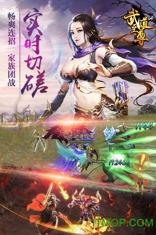 武 道 至 尊