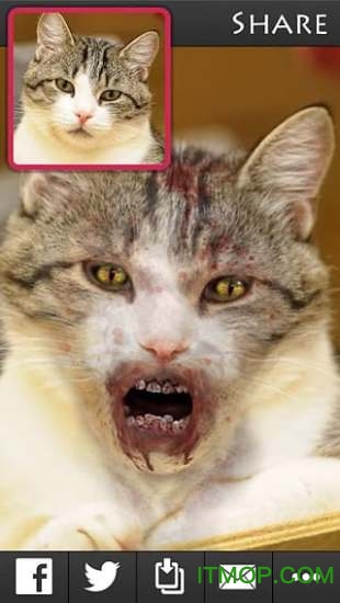 变脸僵尸2修改版(ZombieBooth2) 变脸僵尸2修改版(ZombieBooth2)