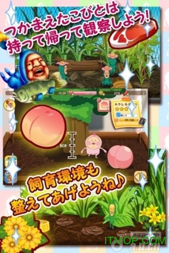 儿童动物找茬游戏 儿童动物找茬游戏