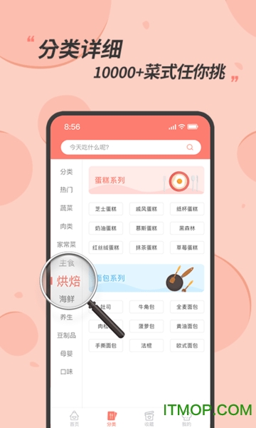 私厨食谱大全 私厨食谱大全