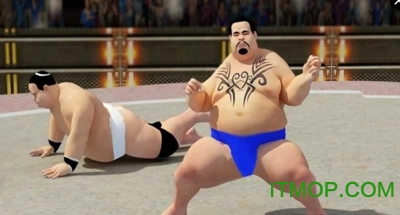 Summo wrestling