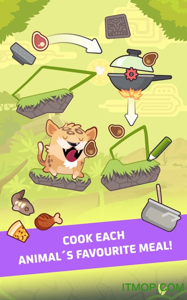 Safari Chef完整版