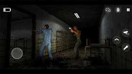 流浪猫的故事
