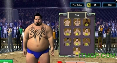 Summo wrestling