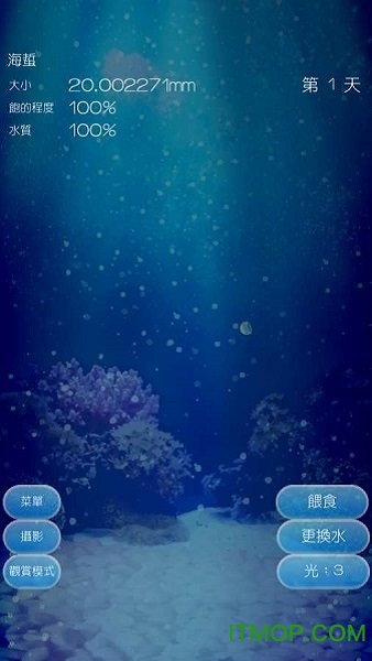 海蜇養成