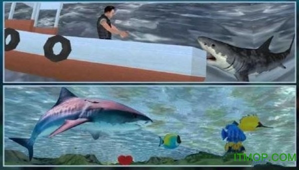 3d饥饿大白鲨复仇游戏无限金币版(Hungry white shark revenge 3D) 3d饥饿大白鲨复仇游戏无限金币版(Hungry white shark revenge 3D)
