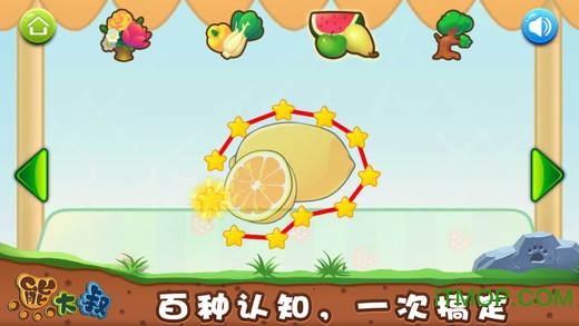 熊大叔宝宝连线植物版 熊大叔宝宝连线植物版