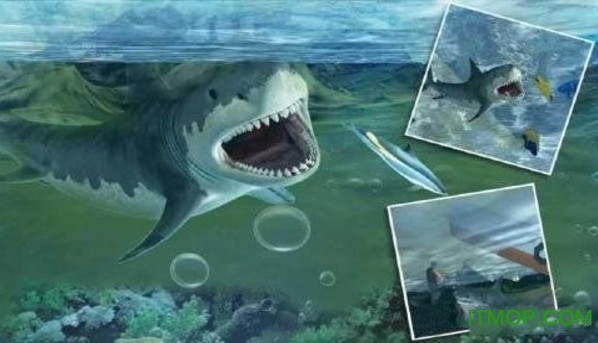 3d饥饿大白鲨复仇游戏无限金币版(Hungry white shark revenge 3D) 3d饥饿大白鲨复仇游戏无限金币版(Hungry white shark revenge 3D)