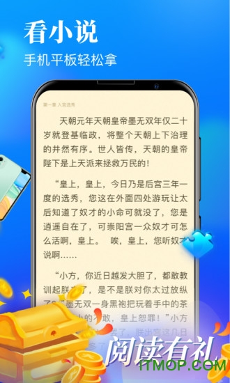 疯读小说pc版