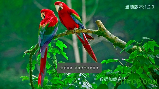 创新直播