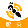 飞蚂蚁