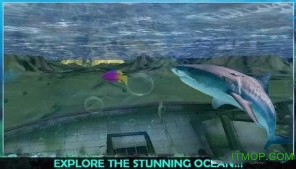 3d饥饿大白鲨复仇游戏无限金币版(Hungry white shark revenge 3D) 3d饥饿大白鲨复仇游戏无限金币版(Hungry white shark revenge 3D)