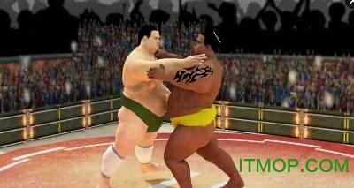 Summo wrestling