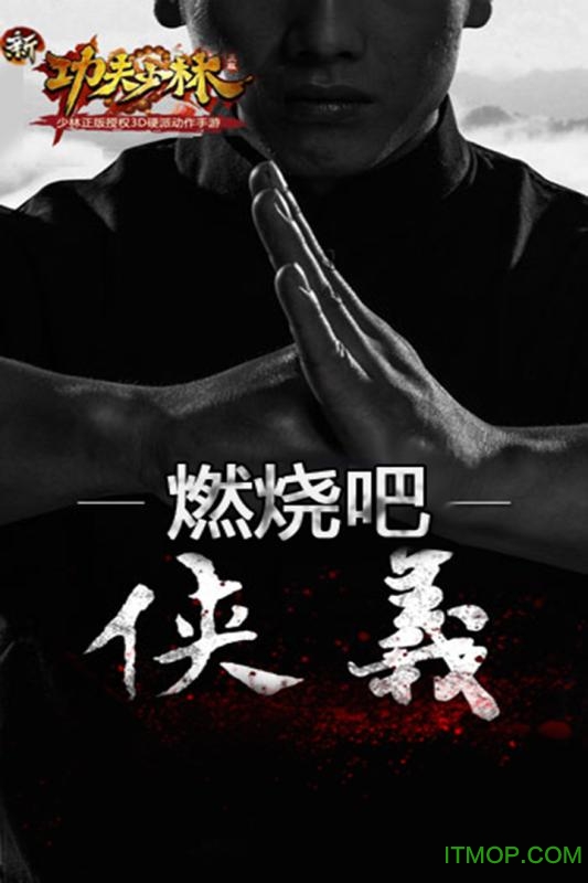 功夫少林 功夫少林