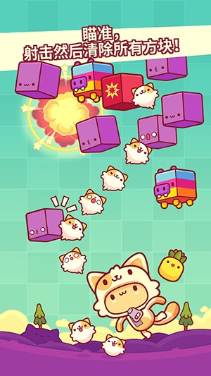 皮皮猫 皮皮猫