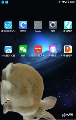 咪萌桌面宠物 咪萌桌面宠物