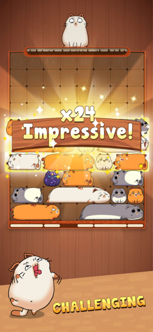 猫咪滑块