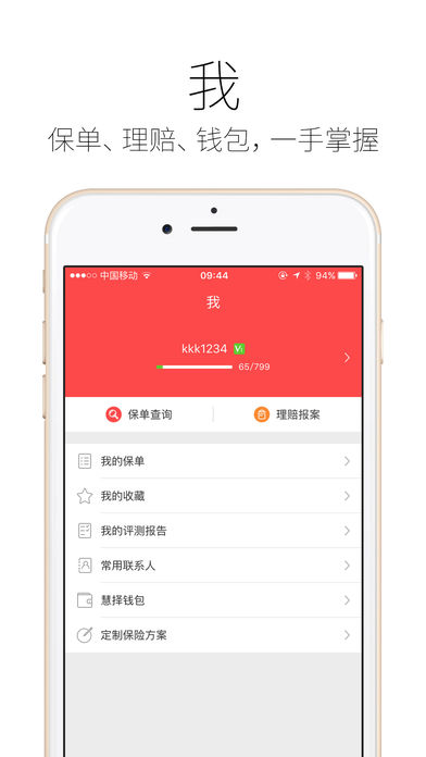 新华人寿精选 新华人寿精选