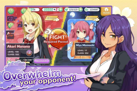 Moe! Ninja Girls