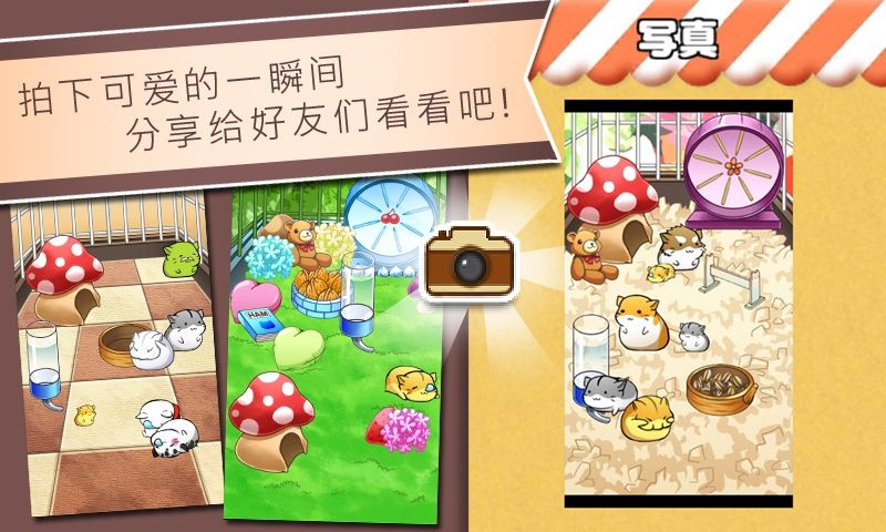 仓鼠的日常 中文正版