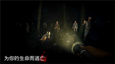 勇闯死人谷 2024最新版 勇闯死人谷 2024最新版