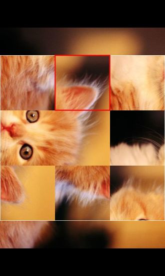 可爱猫咪拼图游戏 可爱猫咪拼图游戏