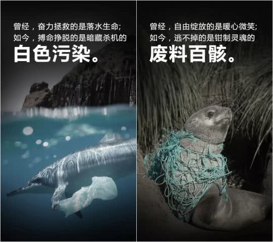 守护这片海