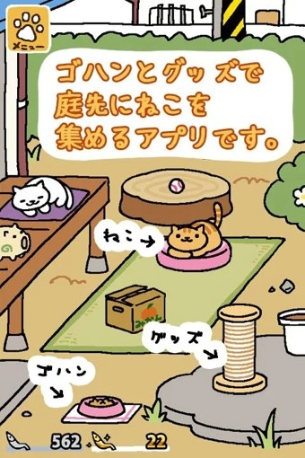 猫咪后院 中文版 猫咪后院 中文版