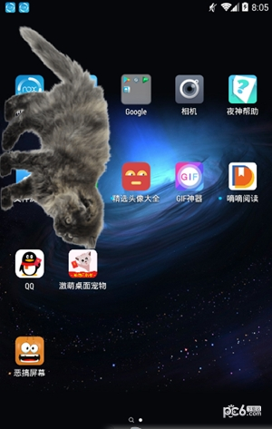 咪萌桌面宠物 咪萌桌面宠物