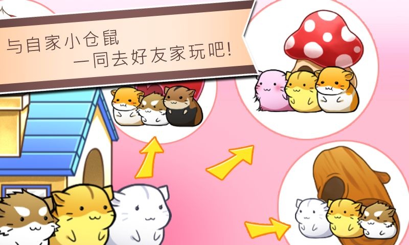 仓鼠的日常 中文正版