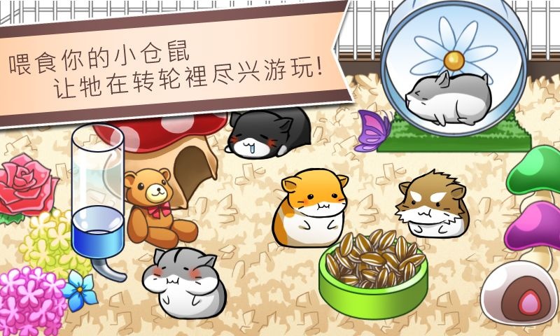 仓鼠的日常 中文正版 仓鼠的日常 中文正版
