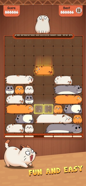 猫咪滑块 猫咪滑块
